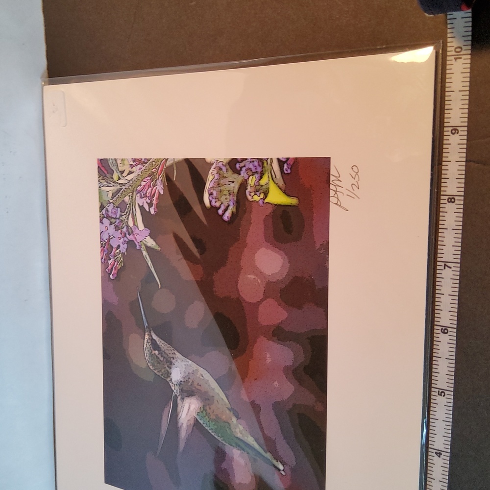 Hummingbird print 1/250 Peter James Maurer . - Picture 4 of 8